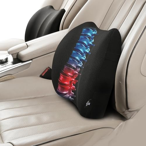 Raygis Lumbar Support PillowMemory Foam Back Cushion For Office ChairCar SeatTravelErgonomic Posture 2 Pack