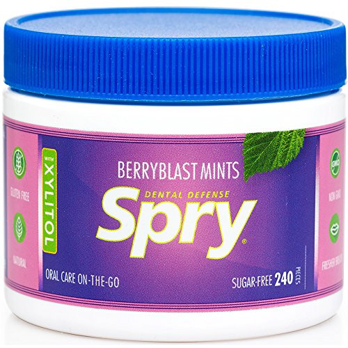 Xlear Spry Berry Blast Xylitol Mints SugarFree Candy For Oral Health Dry 240 Pieces Pack Of 1