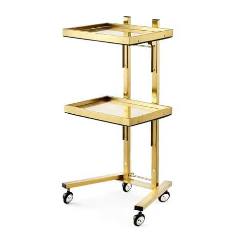 Wemakmak 2Tier Metal Rolling Cart Stainless Steel