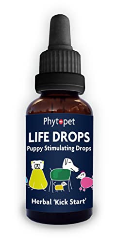 Phytopet Life Drops Natural Herbal Stimulant For Newborn and Elderly Pets Ideal For Puppies Kittens Birds Foals 10Ml