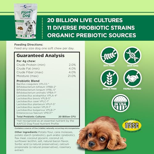 Vital Planet Flora Dog Probiotics Dog Chews Supplement With 20 Billion Cultures And 11 Strains Immune And Digestive Support Chewable Probiotics For Dogs 30 Natural Bacon Flavored Soft Chews