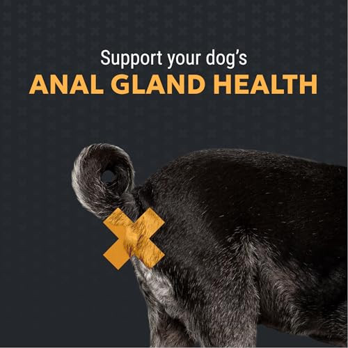 Nutramax Laboratories Filaquin Anal Gland Supplement For Dogs From The Same Company As Cosequin and Proviable With Pre and Postbiotics And Psyllium Husk Fiber To Support Anal Gland Health 90 Count Soft Chews