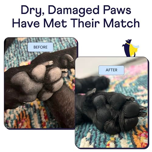 Finn Paw Hero Dog Paw Balm Hot Pavement Protection LickSafe 175 Oz Olive and Avocado Oil Beeswax Aloe and Vitamin E 7 Natural Ingredients Repairs Dry Cracked Pads