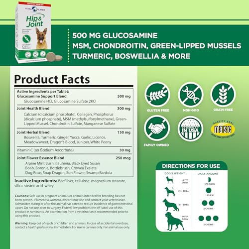 Vital Planet Natural Hip And Joint Supplement For Dogs Potent Herbal Blend With Green Lipped Mussel Msm And Glucosamine 120 Chewable Tabs