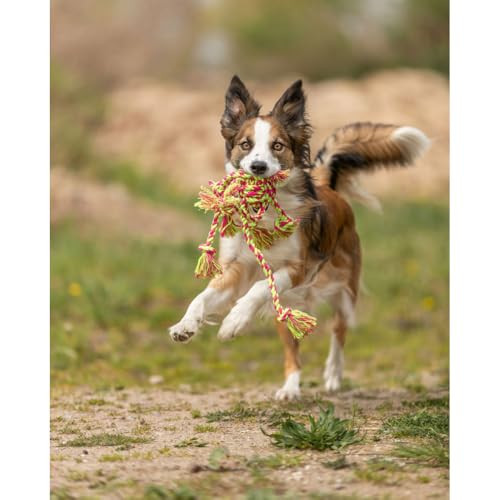 Trixie Denta Fun Rope Toy With Woven In Ball For Dog 44 X 7 Cm Color May Vary