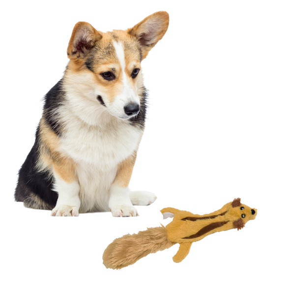 Spot Skinneeez Flying Squirrel 14 Inch StuffingFree Plush Squeaky Dog Toy Soft TugOfWar Toy For Small And Medium Dogs MessFree Interactive Chew Toy For Moderate Chewers