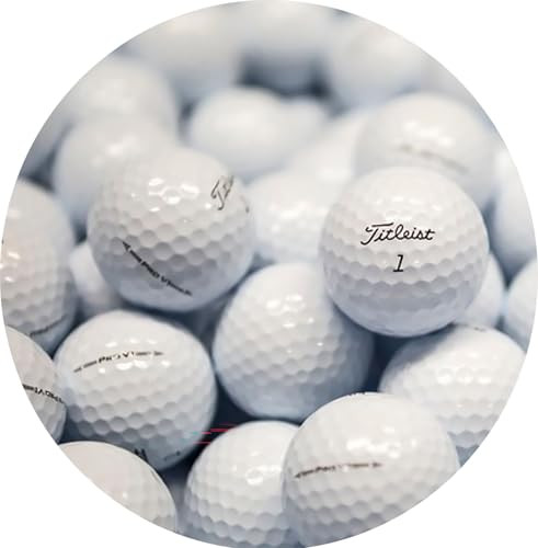 Titleist Lostgolfballs Pro V1 2016 Used Golf Balls Mint/Aaaaa Quality 24 Count