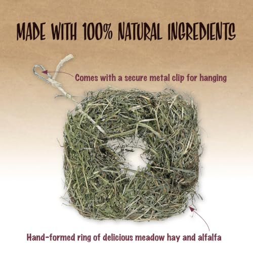 Rosewood Naturals Alfalfa Ring Small Animal Treat And Toy For Rabbits Guinea Pigs Chinchillas And Degus Pack Of 1