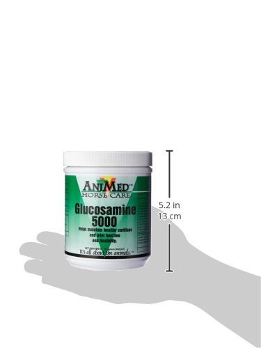 Animed Horse Glucosamine 5000 Supplement 16 Oz