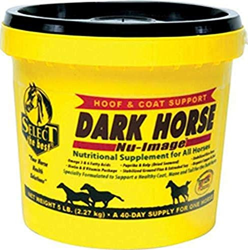 Richdel Inc D Dark Horse NuImage 5 4