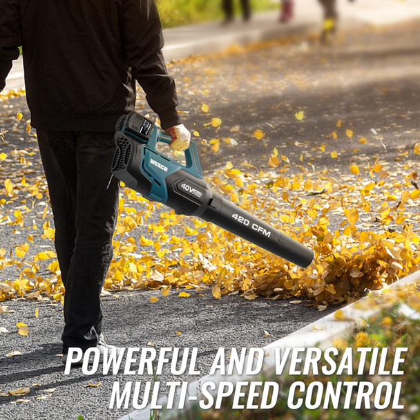 20V Blower Cordless Leaf Blower, 420 CFM 2Pcs 2.0Ah Battery Lightweight Leaf Blower Brushless Snow Blower Handheld Sweeper for Blowing Leaves, Dust, Snow Debris, Yard, Hard to Clean Corner