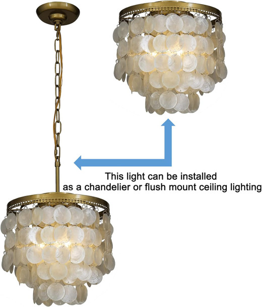 3-Light Coastal Capiz Natural Seashell Chandelier Lighting Unique 3 Tiers Ceiling Light Antique Brass Electroplate Flush Mount Interior Decor Pendant Light Fixture W13.75 Inch (Gold)