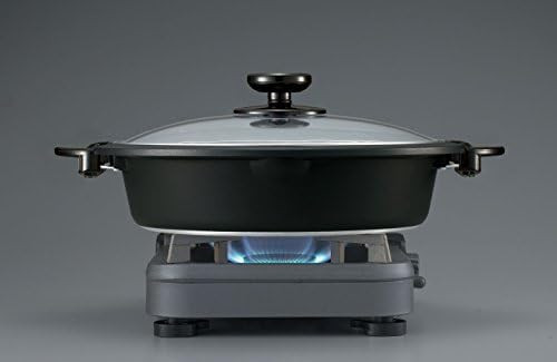 Zojirushi Eb-Dlc10 Indoor Electric Grill
