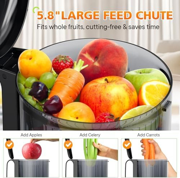 Cold Press Juicer -Large Size