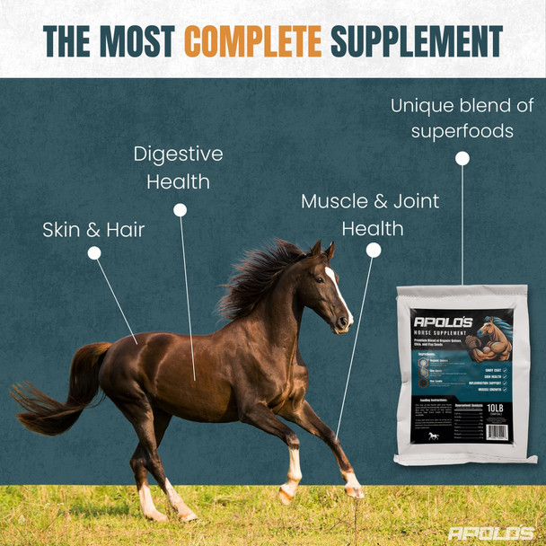 APOLO'S Premium Horse Supplement – Joint Support, Coat Shine & Strength | Flaxseed, Quinoa, Chia | High-Nutrient, Non-GMO, Gluten-Free, Supports Digestion | 10 LB Bag