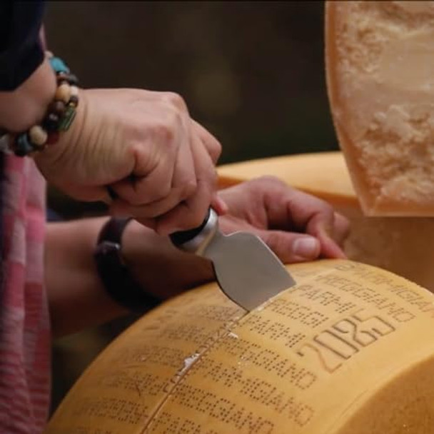 Boska Parmesan Knife Pro 110Mm - Premium Quality - Stainless Steel - For Hard Cheeses Like Parmesan - 1896 Collection