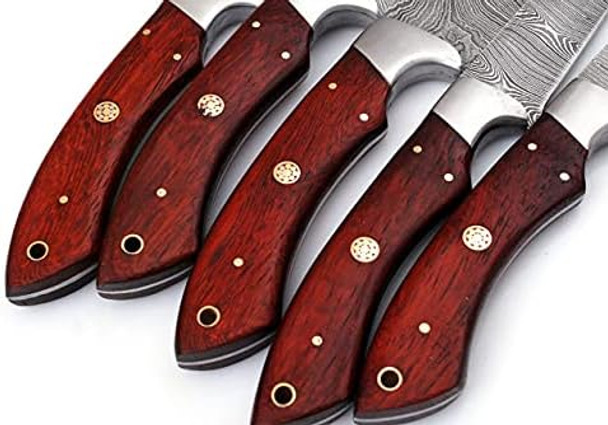 Handmade Damascus Steel Blade Kitchen Knife Set 5Pcs Best Damascus Chef Knife Set Professional Kitchen Cooking Knives With Leather Case/Bag