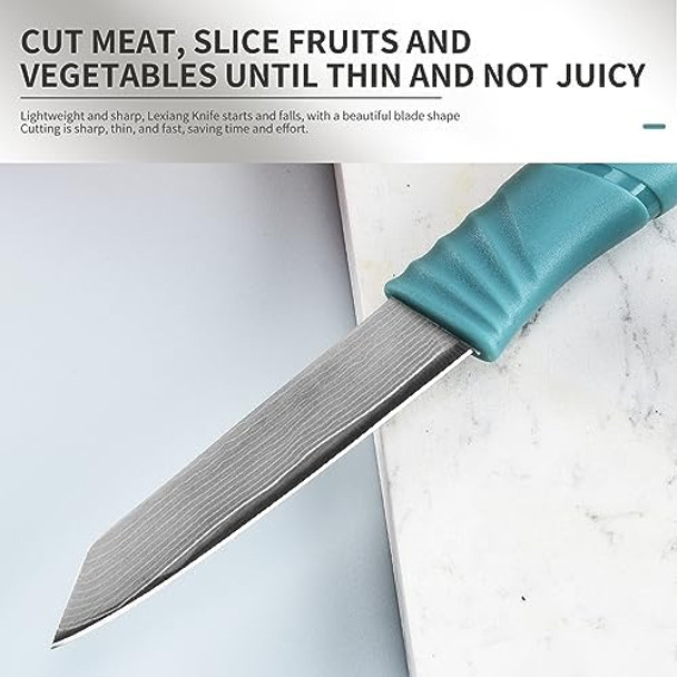 2.8-Inch Damascus Vg10 Steel Core Meat Cleaver Sharp Fruit & Tomato Knife Carving Universal Knife