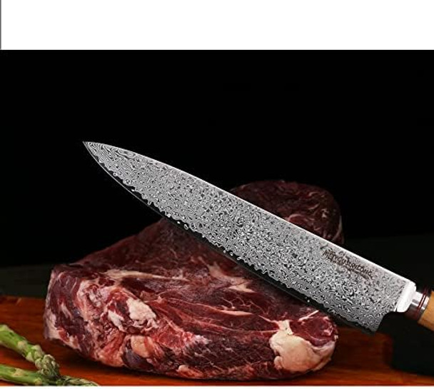 Yousunlong Chef'S Knife 10 Inch (25.5Cm) Japanese Cleaver Damascus Steel Super Sharp - Italian Olive Wood Handle With Leather Sheath