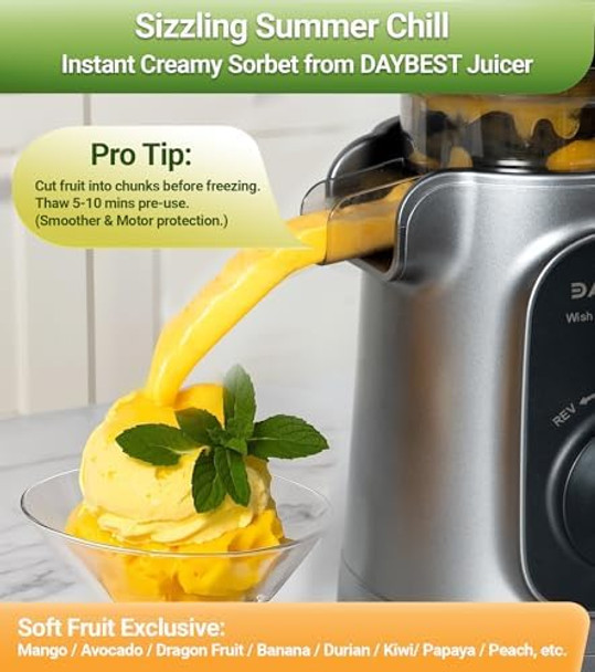 Cold Press Juicer Machines Slow Masticating Pure Juice Extractor High Juice Yield 4.1 IN Large Feed Chute for Whole Fruits and Veggies Dual Replaceable Filters 120V Quiet Motor Easy to Clean Grey