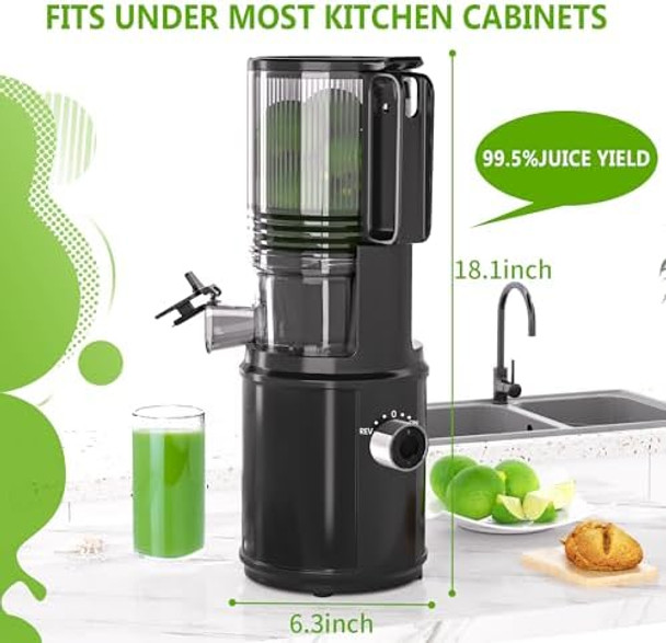 Cold Press Juicer – Hands- Electric Masticating Juicer Machine with 6.5" Large Feed Chute 350W Masticating Juicer Machine For More Juice Less Pulp High Juice Yield – Easy Cleanup & Assembly