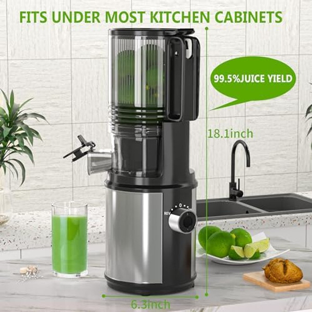 Cold Press Juicer – 6.5" Extra Large Feed Chute Fit Hands- Electric Masticating Juicer Machine 350W Slow Masticating Juicer Machine for Whole Fruit and Vegetables – Easy Cleanup & Assembly