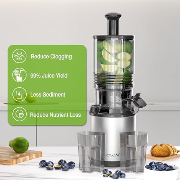 Cold Press Juicer – 6.5" Extra Large Feed Chute Fit Hands- Electric Masticating Juicer Machine 350W Slow Masticating Juicer Machine for Whole Fruit and Vegetables – Easy Cleanup & Assembly