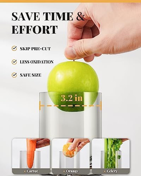 GDOR 1200W Juicer 3.2" Wide Chute Titanium-Enhanced Blade Heavy-Duty Copper Motor Dual Speed Centrifugal Juice Extractor BPA- Silver