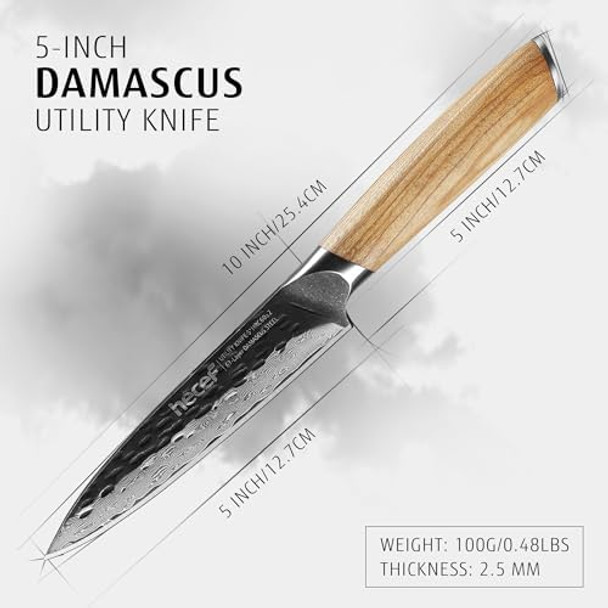 hecef 5 Inch Chef Knife Damascus Professional Japanese Knife High Carbon Damascus Stainless Steel Kitchen Knife with Ergonomic Olive Wood Handle Sharp Cooking Knife