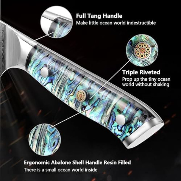 Damascus Steel Santoku Knife 7 Inch Japanese Professional 10Cr15MOV Blade with Hand Forged Hammer Pattern Ultra Sharp Kitchen Knife with Abalone Shell Ergonomic Handle