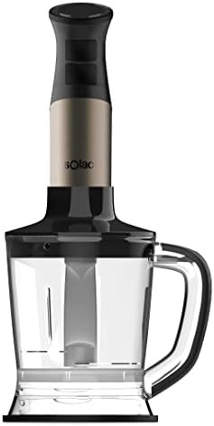 Professional 1000W Stainless Steel Hand Blender w/Accessories Kit Standard SJK-1172