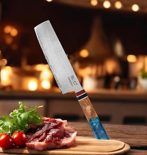 Stylecraft SC Design Saber Collection 2-Piece Damascus Kitchen Knife Set for Cooking: Premium 67 Layers Damascus Steel Ergonomic G10 Pakkawood Handle -Ready