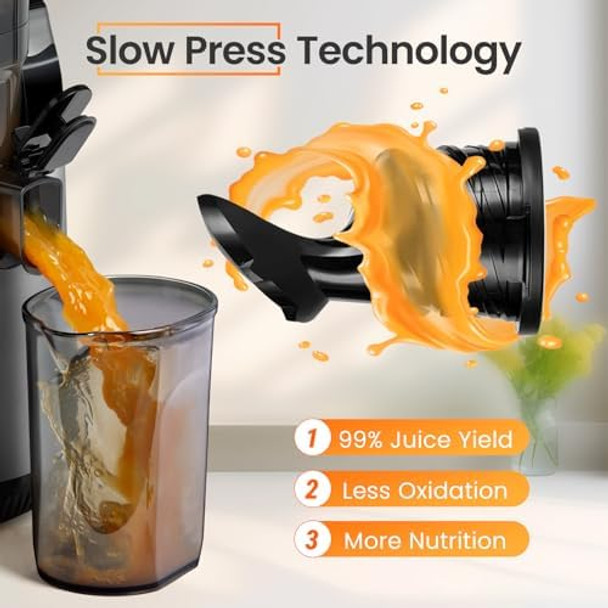 Ventray Slow Masticating Juicer Machine 5.12" Extra Large Feed Chute Cold Press Juicer for Whole Vegetables & Fruits 250w High Juice Yield Easy to Clean with Brush Fit for Batch Juicing