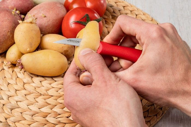 Arcos Paring Knife Set 2 Pieces. 2 Peeling Knives Of Stainless Steel And Ergonomic Polypropylene Handle For Cutting Fruits Vegetables And Tubers. Series Nova. Color Red Arcos Paring Knife Set 2 Pieces. 2 Peeling Knives Of Stainless Steel And Ergonomic Polypropylene Handle For Cutting Fruits Vegetables And Tubers. Series Nova. Color Red