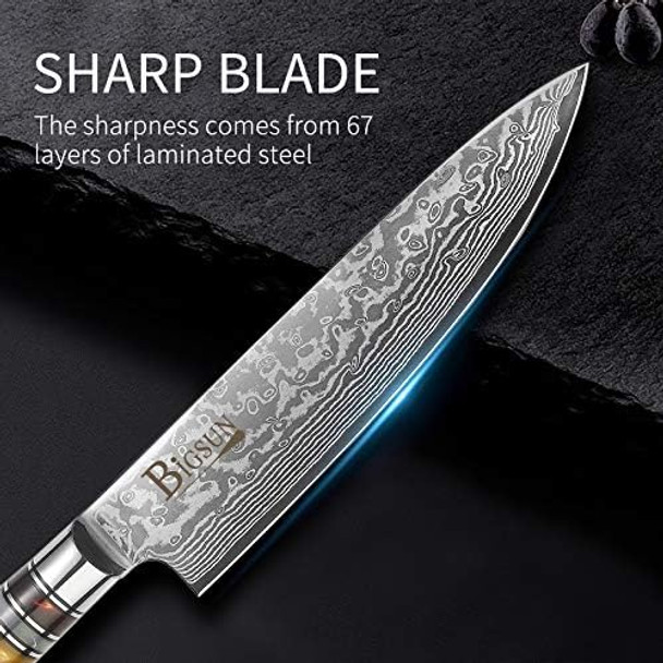 Bigsun Chef Gyutou Knife 67 Layers Vg 10 Forged High Carbon Damascus Steel Kitchen Cooking Knives With Resin Honeycomb Design Handle (8 Inch Chef Knife Brown)