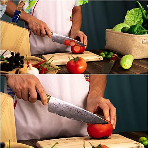 Damascus Chef Knife 8” - Japanese Aus-10 Steel - 67 Layers - Resin & Stabilized Wood Handle…