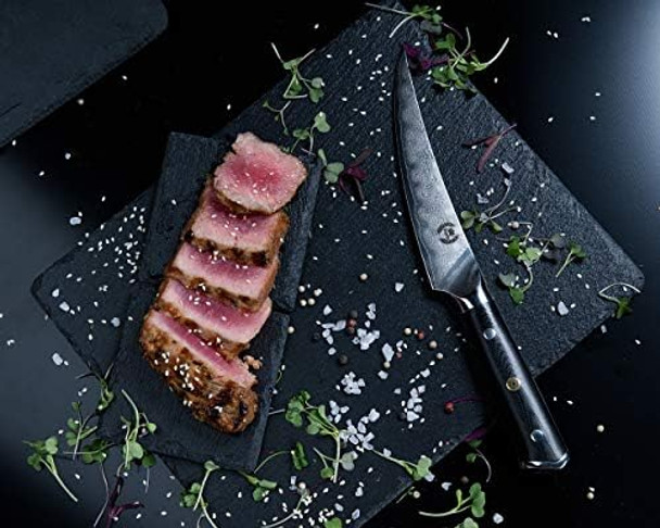Regalia Boning/Fillet Knife: Professional Japanese 6 Inch Razor Sharp Aus10 Premium High Carbon 67 Layer Damascus Stainless Super Steel Full Tang Chef’S Knives W/G-10 Handle Knives