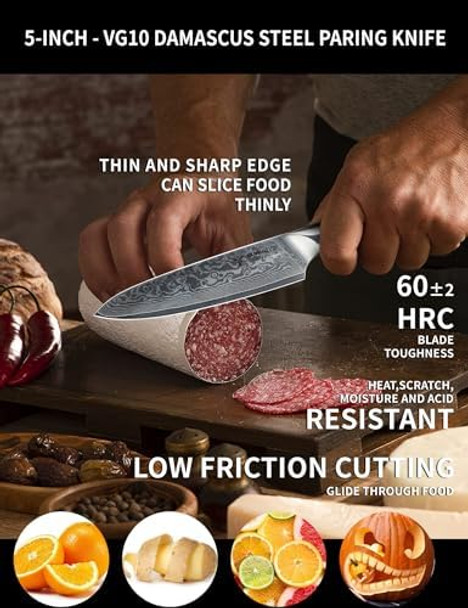 Chef Knife - Xuan Series - Vg10 Damascus Steel Kitchen Knife - Resin Handle (Sapphire Blue)