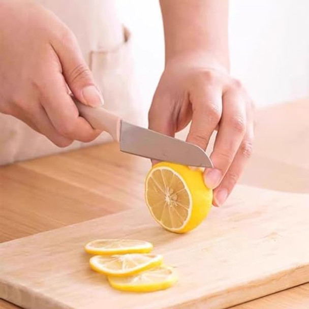 20-Piece Super Value Paring Knife Set - 10 Ultra-Sharp German Steel Fruit & Vegetable Knives With 10 Sheaths Pp Plastic Ergonomic Handle Dishwasher Safe Multi-Color Small Kitchen Peeling Knives.