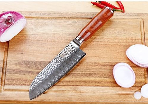 Sunlong Santoku Knives 7 Inch Pro Chef Knife Japanese Hammered Damascus Steel Natural Bloodwood Handle