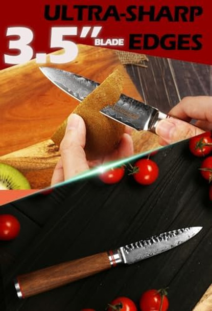 Yousunlong Paring Knives 3.5 Inch - Japanese Hammered Damascus Steel Peeling Knife - Natural Walnut Wooden Handle - Fruit Knife Seiko Knife