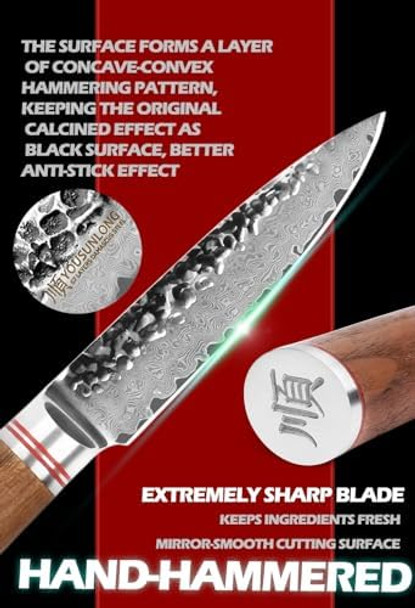 Yousunlong Paring Knives 3.5 Inch - Japanese Hammered Damascus Steel Peeling Knife - Natural Walnut Wooden Handle - Fruit Knife Seiko Knife