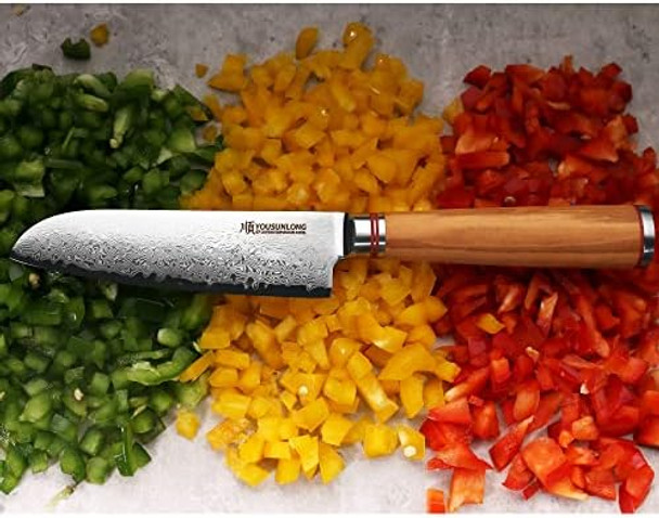 Yousunlong Santoku Knife 5 Inch Cutlery Knives Japanese 67 Layers Hammered Damascus Steel With Natural Leadwood