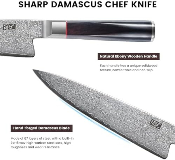 Kitchen Knife 8 Inch 67-Layer Damascus Steel Chef Knife High Carbon Super Sharp Japanese Cooking Knife With Ergonomic Ebony Handle For Meat Vegetable