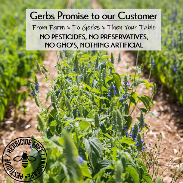 GERBS Raw White Chia Seeds 14oz. Premium Grade | Freshly Harvested & Packaged in Resealable Bulk Bag | Non-GMO, Keto & Paleo Cleared |Great with yogurt, smoothies & oatmeal | Gluten Peanut Free GERBS Raw White Chia Seeds 14oz. Premium Grade | Freshly Harvested & Packaged in Resealable Bulk Bag | Non-GMO, Keto & Paleo Cleared |Great with yogurt, smoothies & oatmeal | Gluten Peanut Free