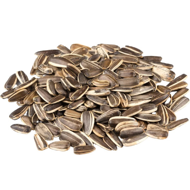 Jumbo Lightly Sea Salted Sunflower Seeds by Gerbs - 2 LBS. - Top 14 Food Allergen Free & Non GMO - Vegan, Keto Safe, Kosher - Grown in USA Jumbo Lightly Sea Salted Sunflower Seeds by Gerbs - 2 LBS. - Top 14 Food Allergen Free & Non GMO - Vegan, Keto Safe, Kosher - Grown in USA