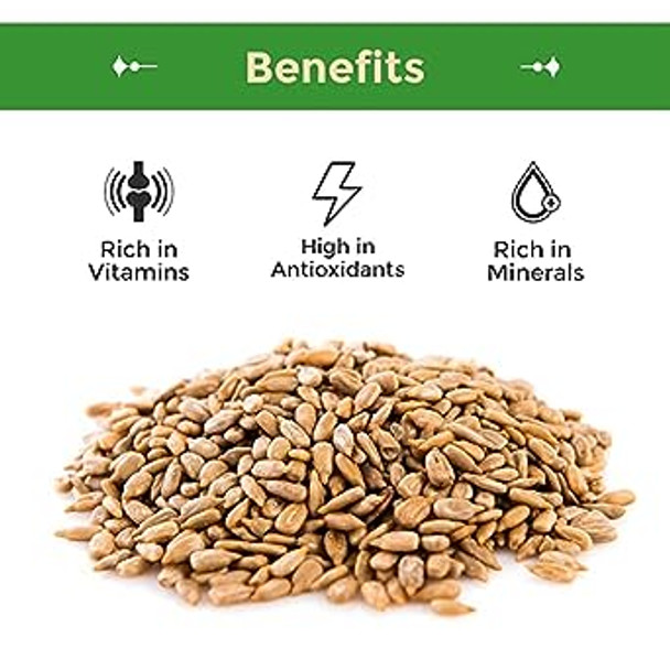 Sincerely Nuts Sunflower Seed Kernels Raw (No Shell) ( bag) | Delicious Antioxidant Rich Snack | Source of Protein, Fiber, Essential Vitamins & Minerals | Vegan and Gluten Free Sincerely Nuts Sunflower Seed Kernels Raw (No Shell) ( bag) | Delicious Antioxidant Rich Snack | Source of Protein, Fiber, Essential Vitamins & Minerals | Vegan and Gluten Free