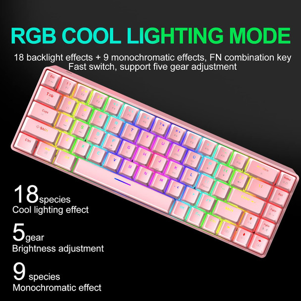 LexonElec 60% Mechanical Gaming Keyboard and Mouse Combo with Mouse Bungee Mouse Pad,Mini 68 Keys Wired Type C 18 Backlit Effects,Lightweight RGB 6400DPI Honeycomb Mice(Pink/Blue Switch)