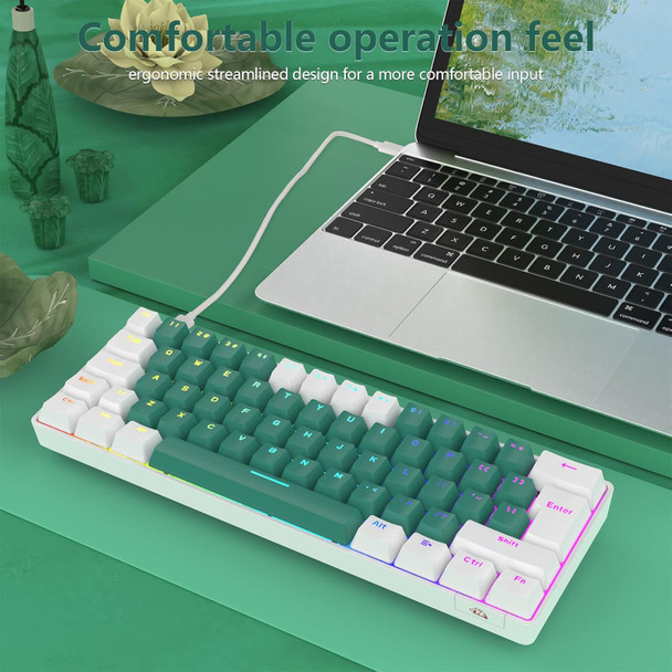 RK-T60 Wired Mechanical Gaming Keyboard and Mouse Combo Portable with Rainbow Backlit 62Key NKRO 6400DPI RGB Honeycomb Mice for PS4/PC/WIN Gamer(Green/Blue Switch)