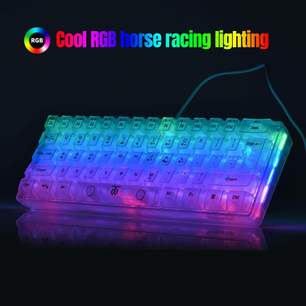 Snpurdiri 60% Gaming Keyboard and Mouse Combo, Transparent Small Keyboard and Mouse Set, Mini Gaming Keyboard 61 Keys True RGB Backlit, for Computer PC Gamer(White Transparent Combo)